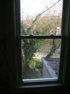 Denison Window